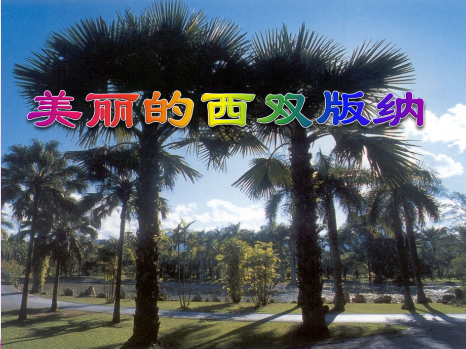 苏教初中语文八上《美丽的西双版纳》(三).ppt_第1页