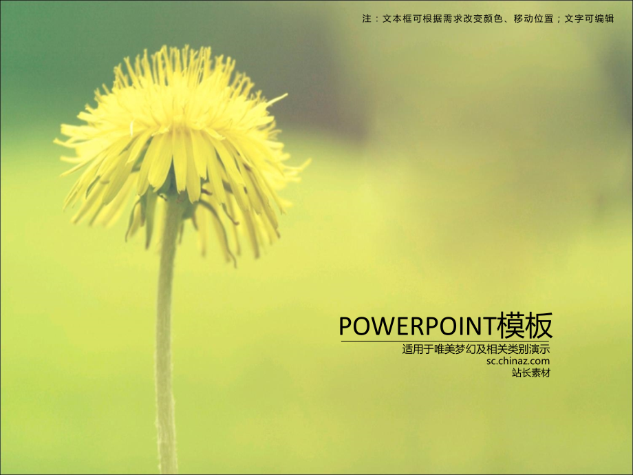 ppt青葱菊花模板.ppt_第1页