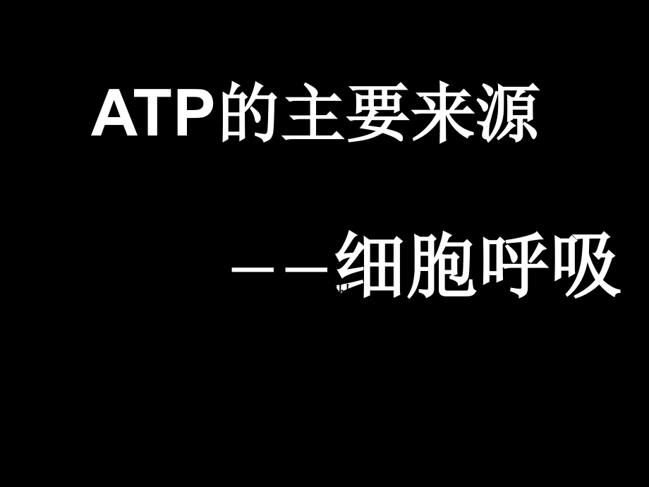 细胞呼吸1.ppt_第1页