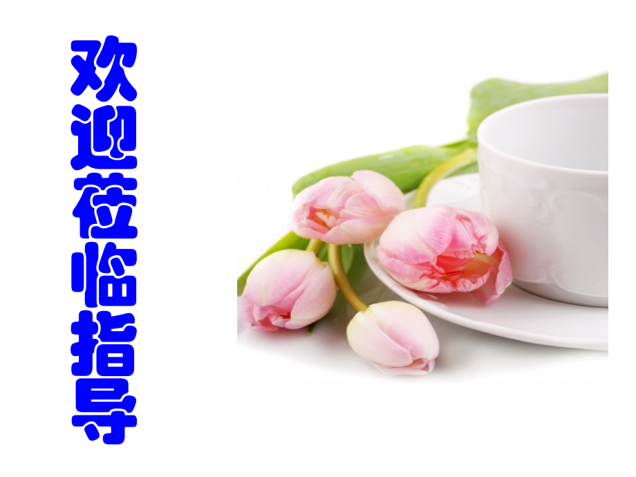 中考作文写作指导—字斟句酌-笔下生辉.pptx_第1页