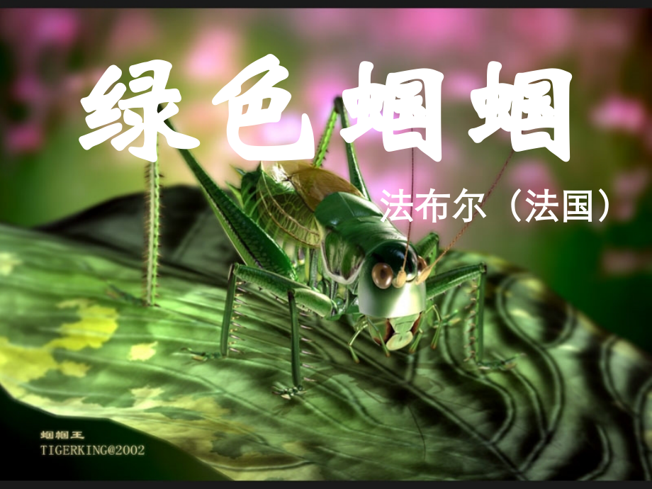 绿色蝈蝈1.ppt_第1页