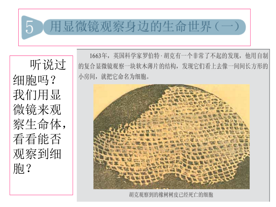 《用显微镜观察身边的生命世界》(一).ppt_第1页