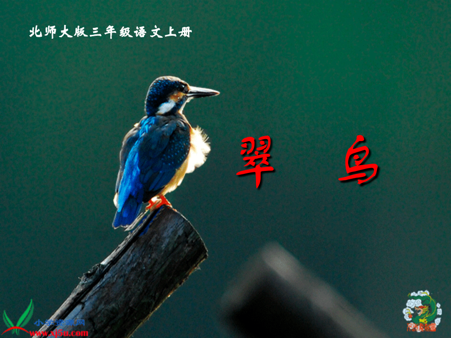 (北师大版)三年级语文上册课件-翠鸟.ppt_第1页