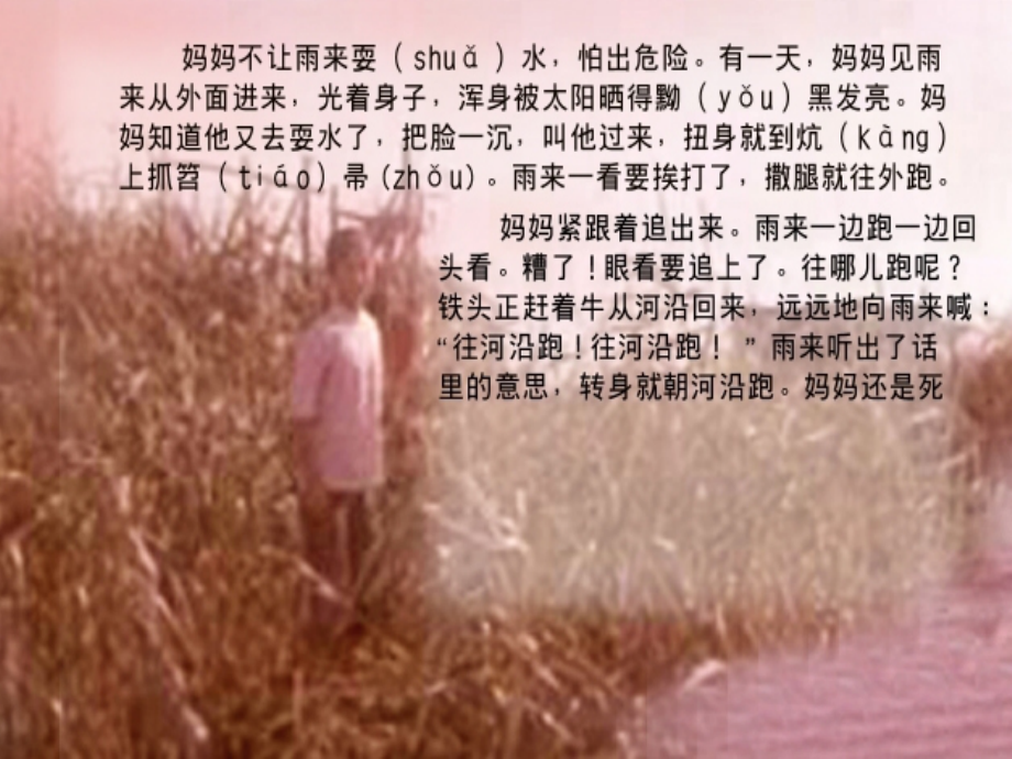 五上语文YW-版(课堂教学课件1)小英雄雨来.ppt_第2页