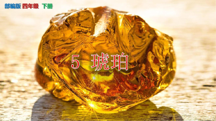 (统编版)《琥珀》四年级下册第5课.ppt_第1页