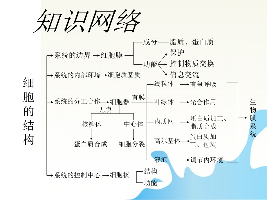 高三生物一轮复习知识网络汇总-第2单元-细胞的基本结构课件.ppt_第2页