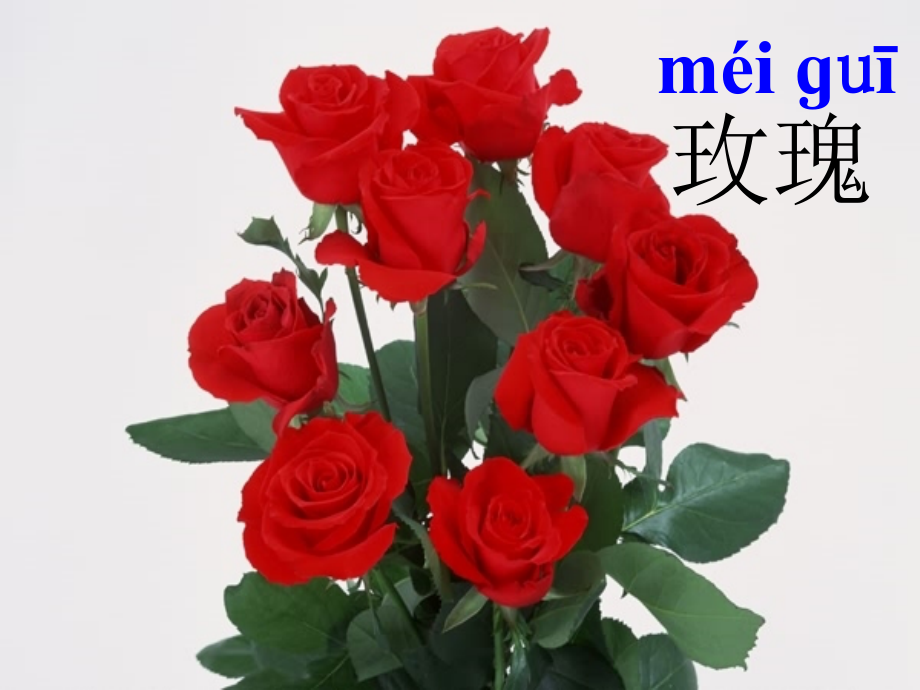 《小鹿的玫瑰花》课件修改版.ppt_第1页