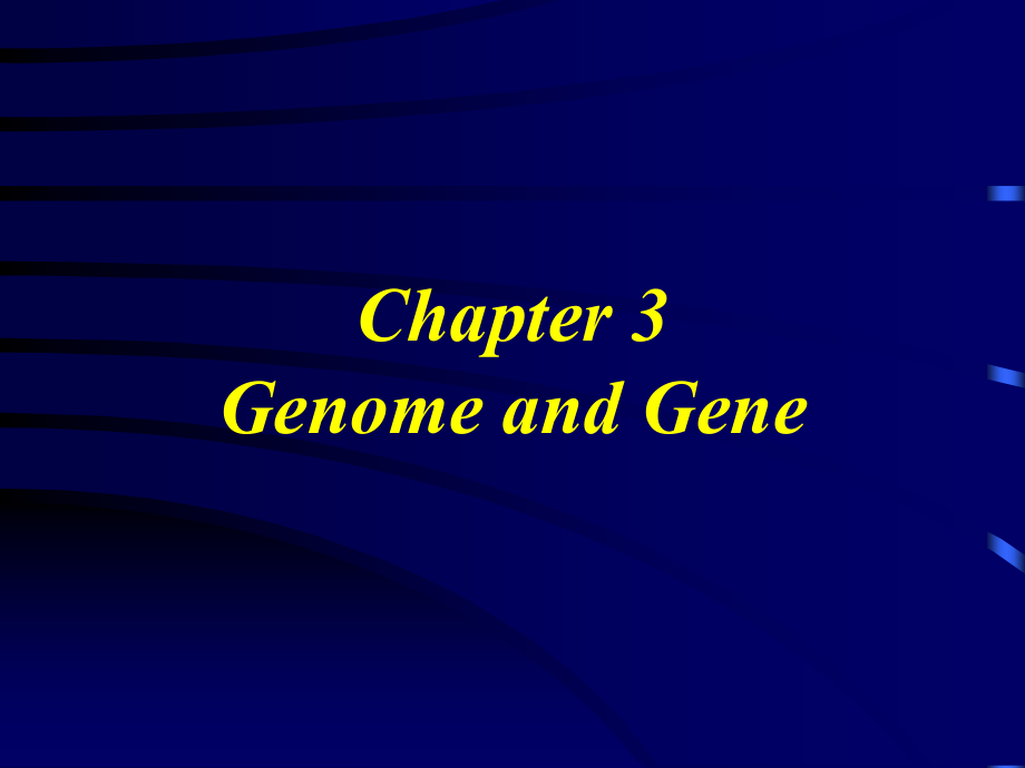 现代分子生物学第三章.ppt_第1页