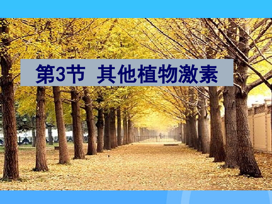 其他植物激素优秀.ppt_第1页