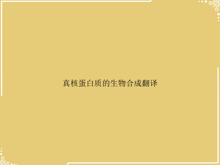 真核蛋白质的生物合成翻译.ppt_第1页