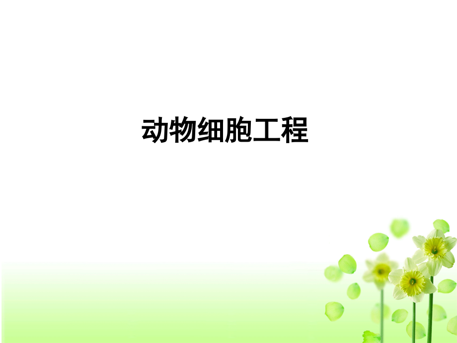 动物体细胞核移植技术和克隆动物(2016年).ppt_第1页