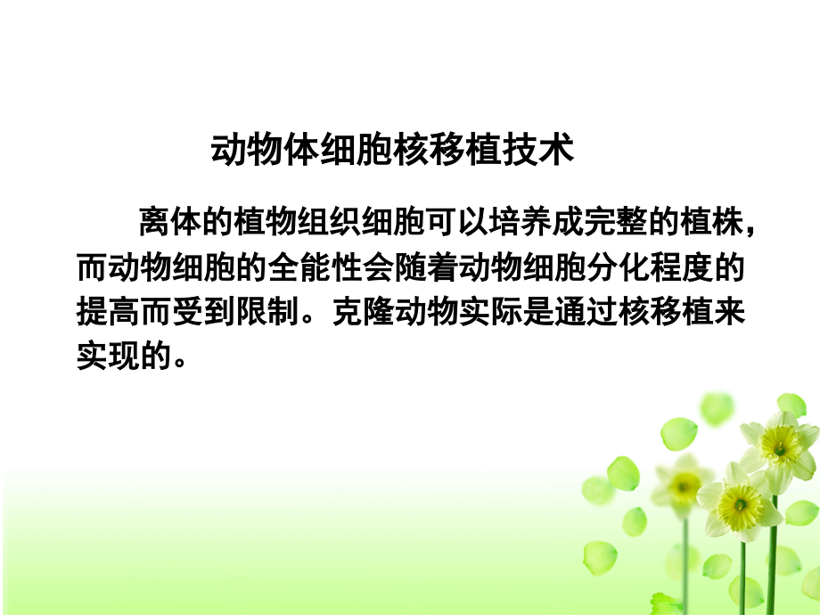 动物体细胞核移植技术和克隆动物(2016年).ppt_第2页