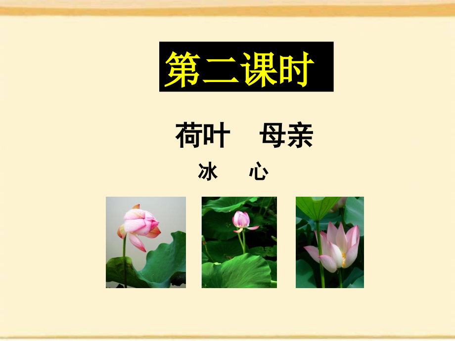 荷叶母亲-课件.ppt_第1页