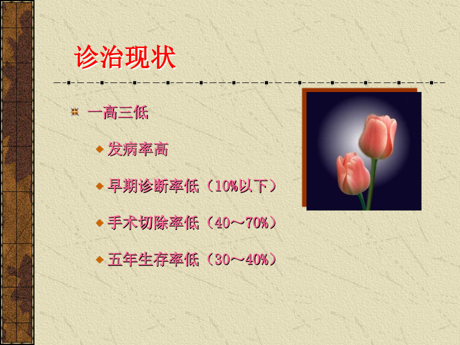晚期胃癌的处理.ppt_第2页