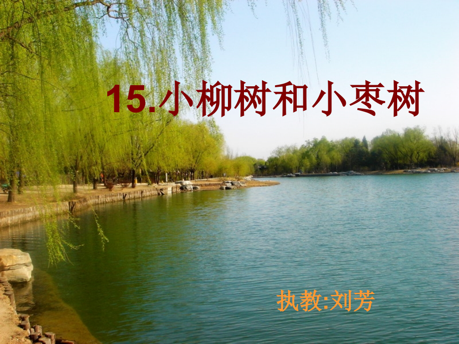 小柳树及小枣树ppt1.ppt_第1页