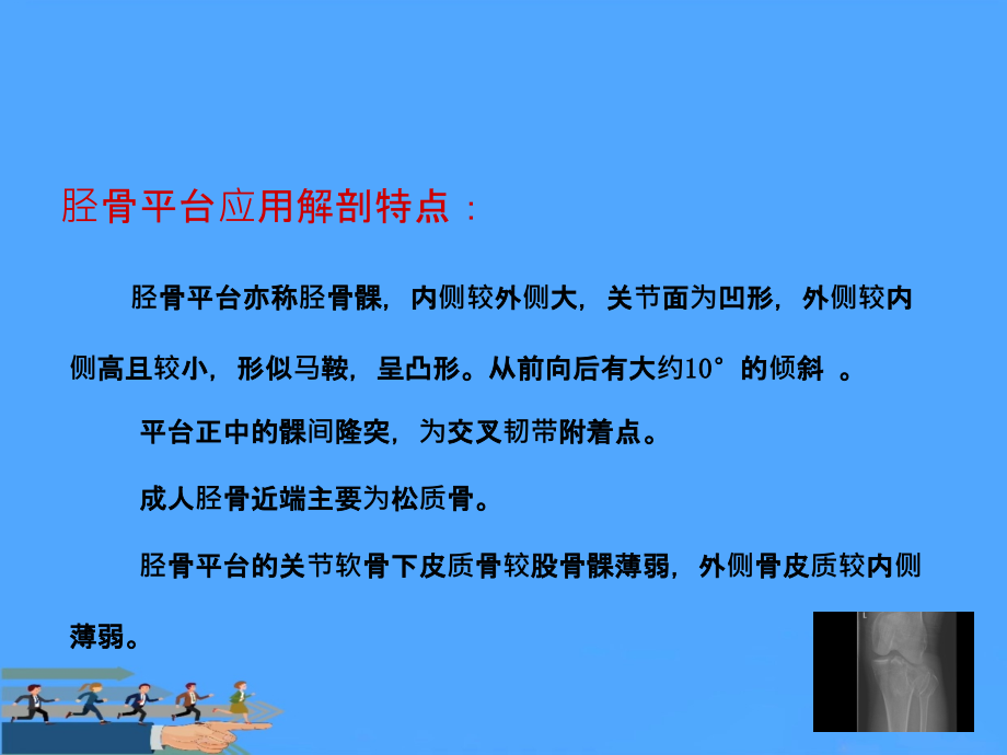 胫骨平台骨折治疗分型优.ppt_第2页