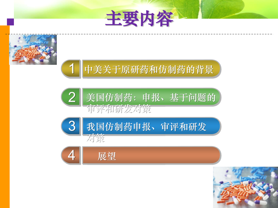 中美仿制药研发申报流程.精讲.ppt_第2页