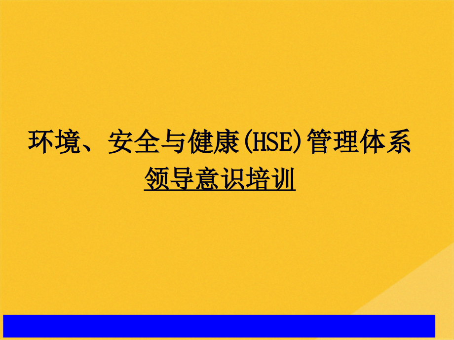 2022年如何建立与运行HSE管理体系.pptx_第1页