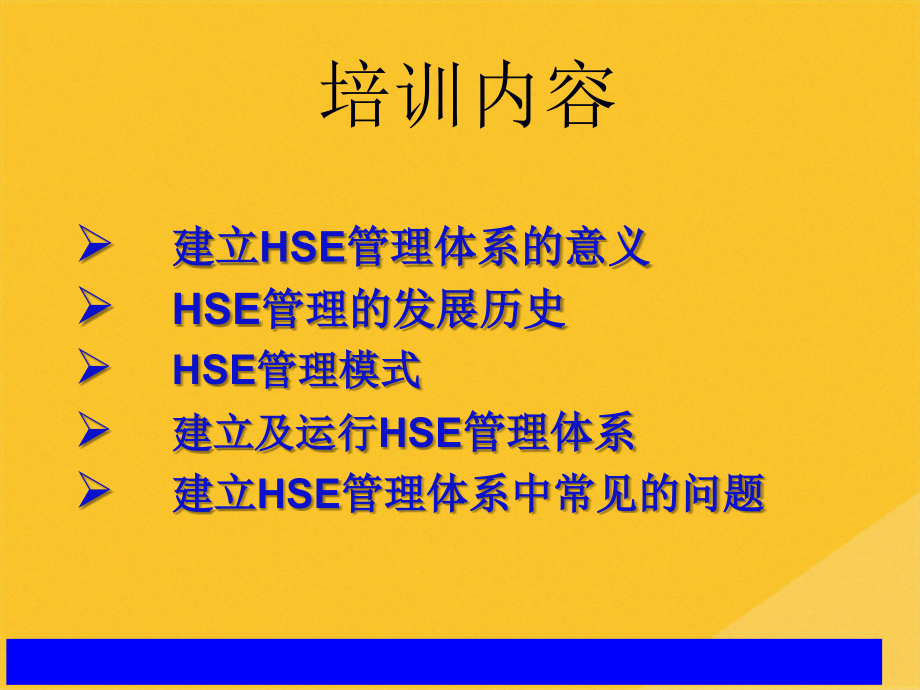 2022年如何建立与运行HSE管理体系.pptx_第2页