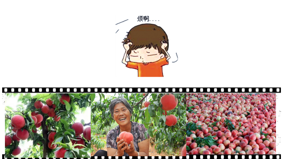 【实验】果胶酶的制作及对苹果匀浆的作用.pptx_第2页