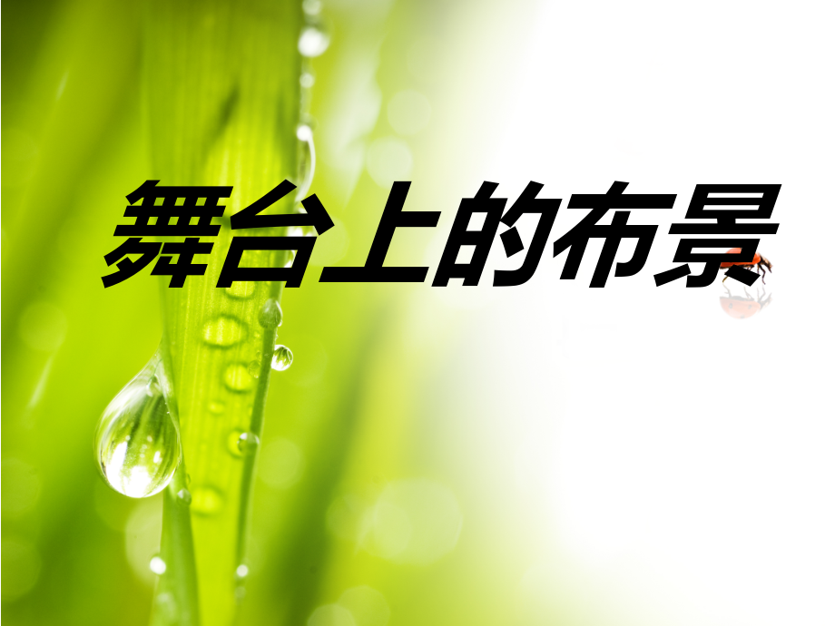 第19课舞台上的布景.ppt_第1页