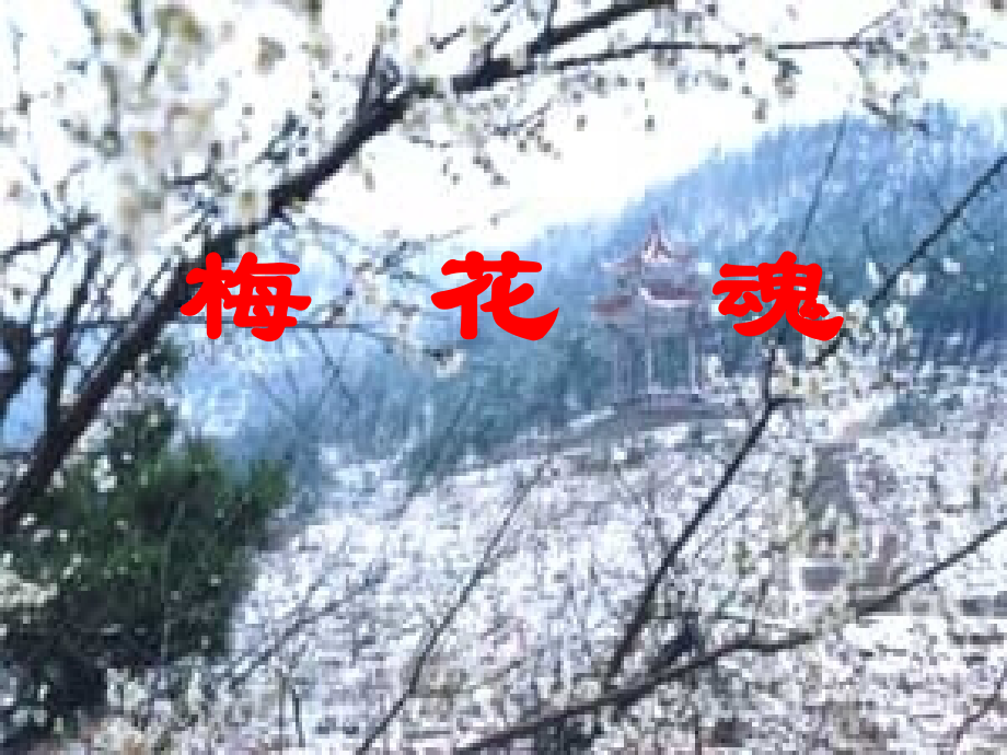 《梅花魂》PPT.ppt_第1页