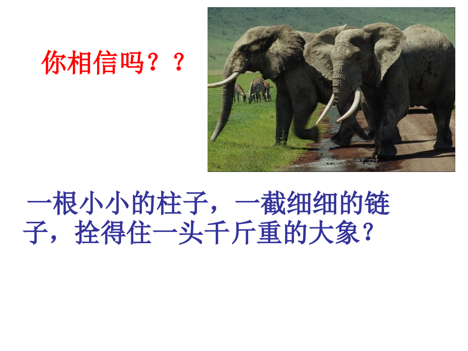第四节孙中山的民主思想.ppt_第2页