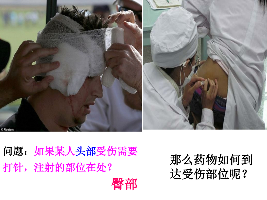 第三节物质运输的途径.ppt_第2页