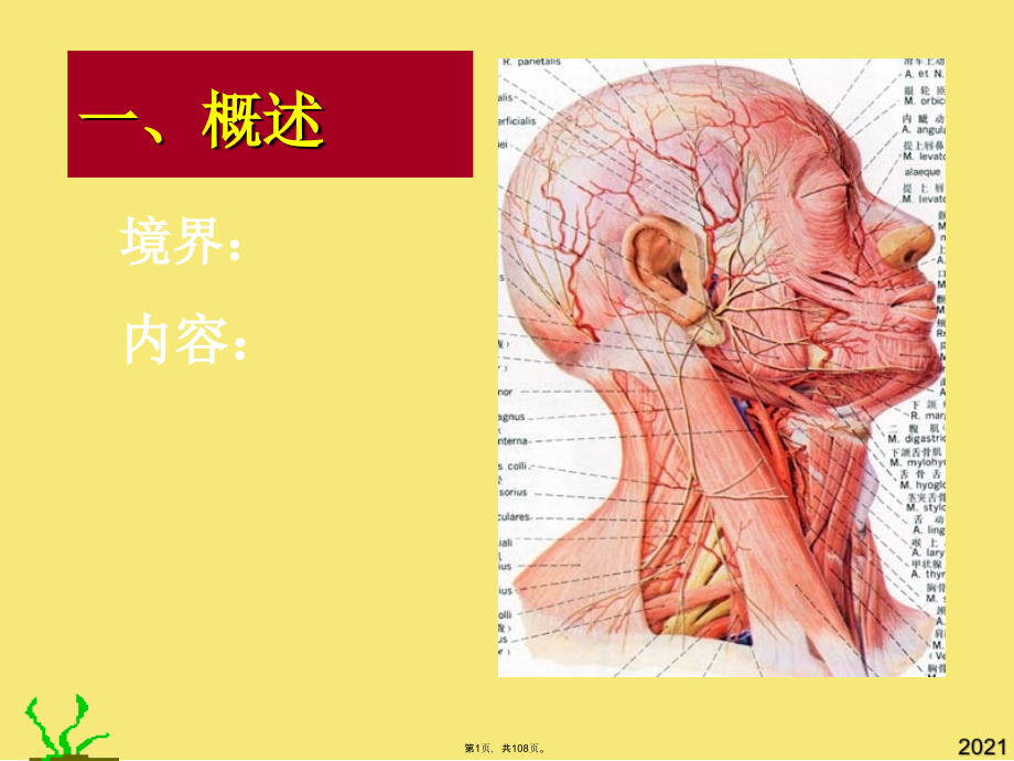 颈部脊柱区-课件(与“神经”有关文档共108张).pptx_第1页