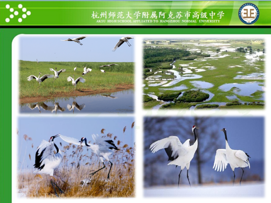科学·技术·社会-关注生态伦理道德-(3).ppt_第2页