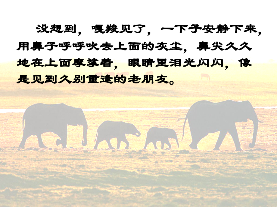 (终稿)最后一头战象PPT课件.ppt_第2页