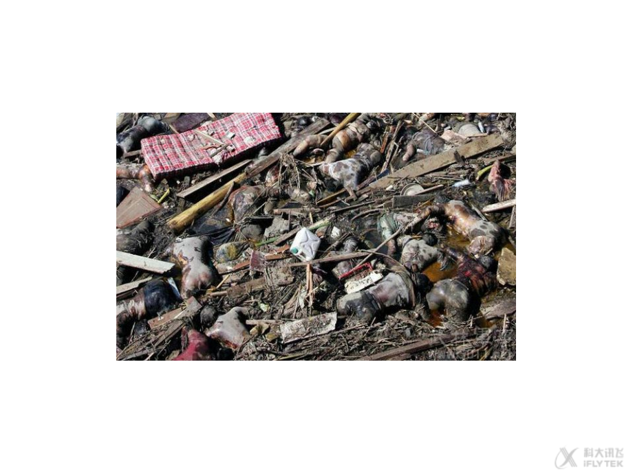 【PPT】海啸过后《《地壳变动和火山地震-》(第课时)(科学浙教七年级上).pptx_第1页