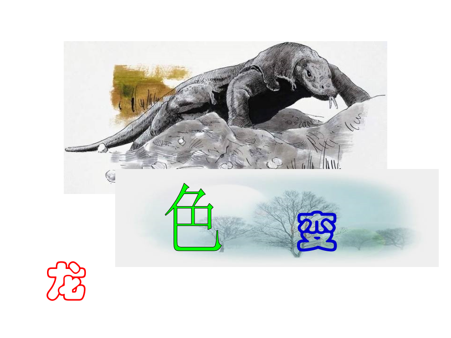 变色龙(修改.ppt_第1页