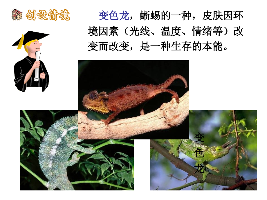 变色龙(修改.ppt_第2页