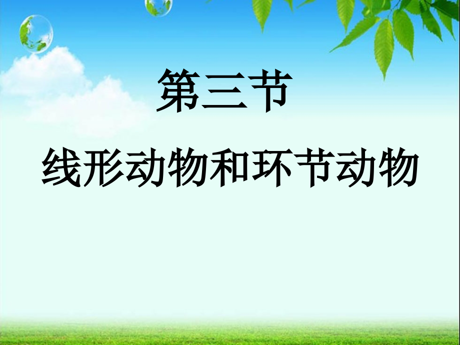 第三节线形动物和环节动物.ppt_第2页