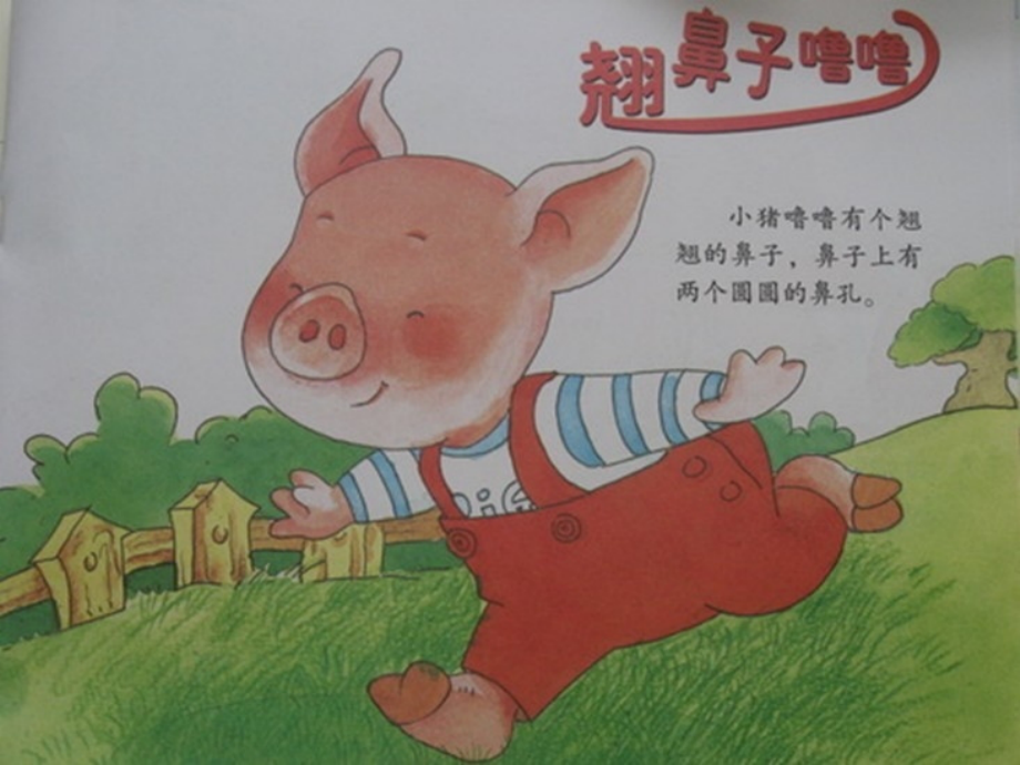翘鼻子噜噜.ppt_第2页