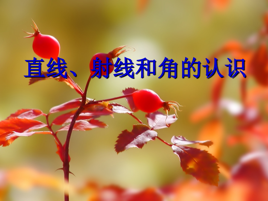 直线、射线和角的认识.ppt_第1页