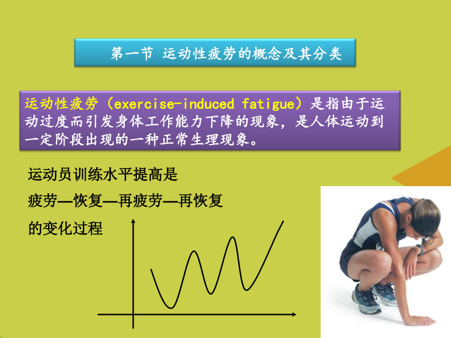 运动性疲劳推选.ppt_第2页