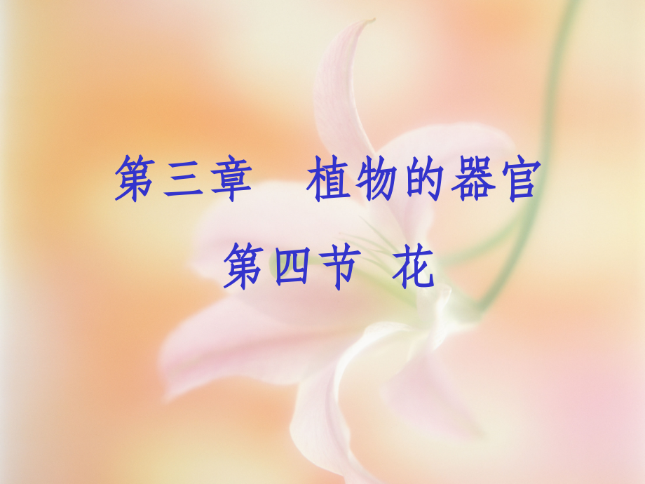 药用植物学-7花.ppt_第1页