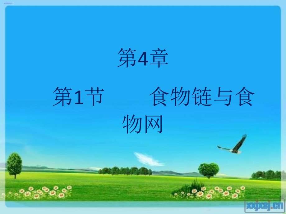 食物链与食物网.pptx_第1页