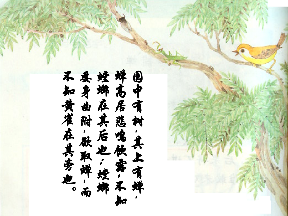 食物链与食物网.pptx_第2页