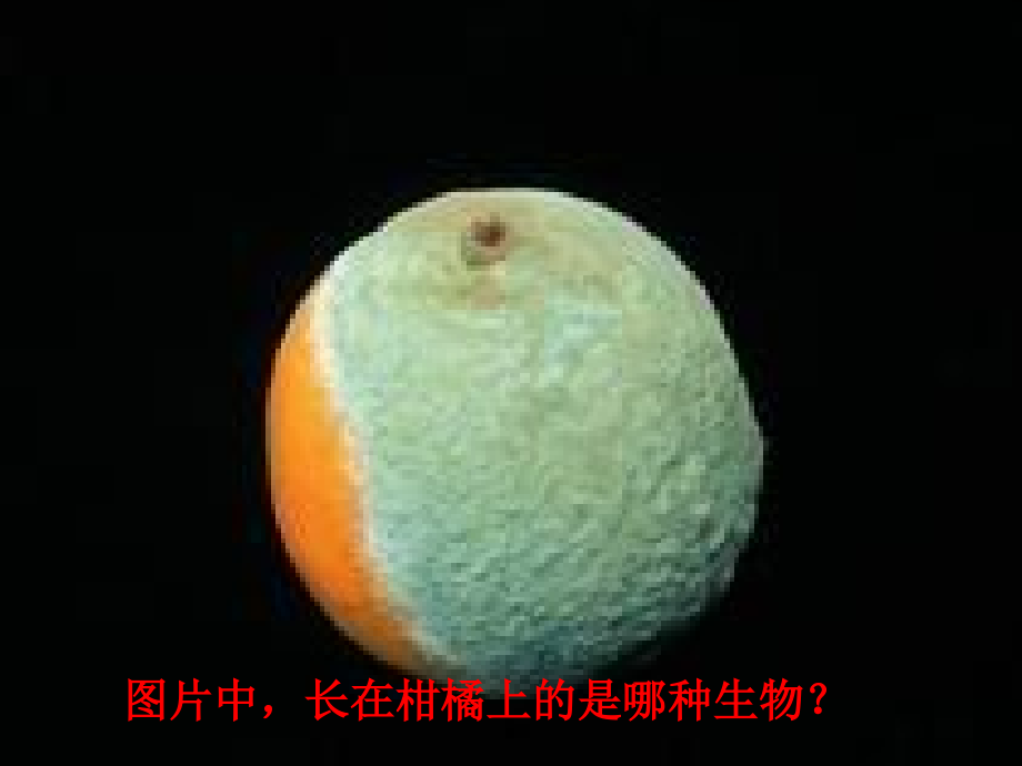 科学·技术·社会-“超级细菌”近在咫尺.ppt_第1页