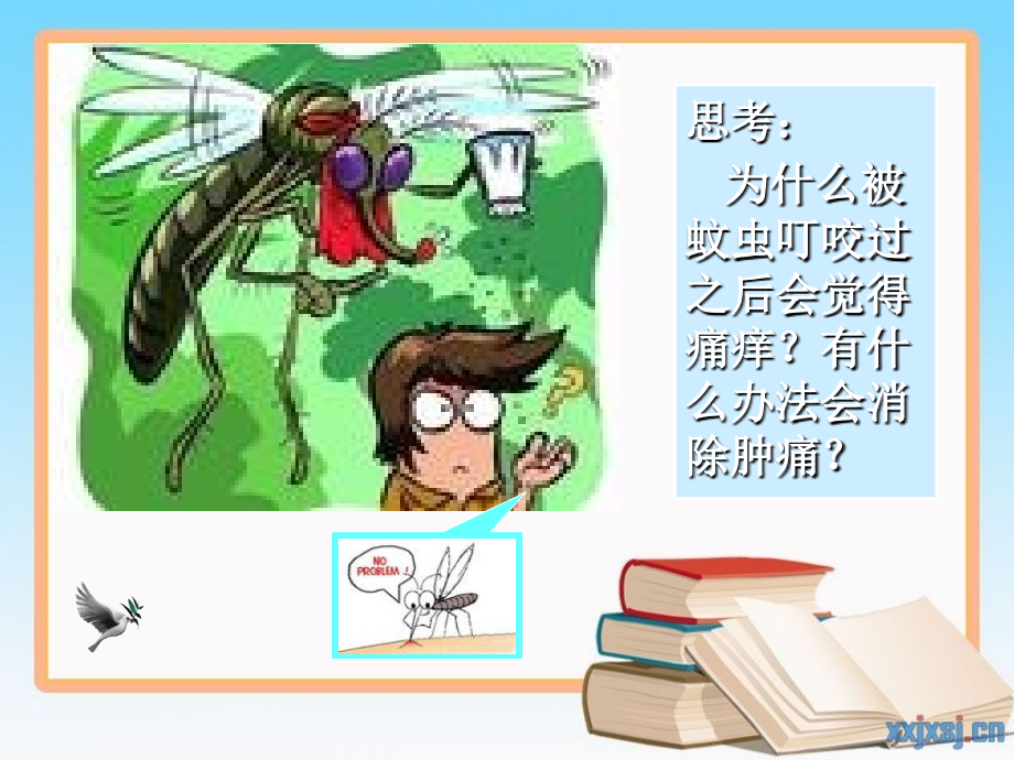 酸和碱之间会发生什么反应(化学课件).ppt_第2页