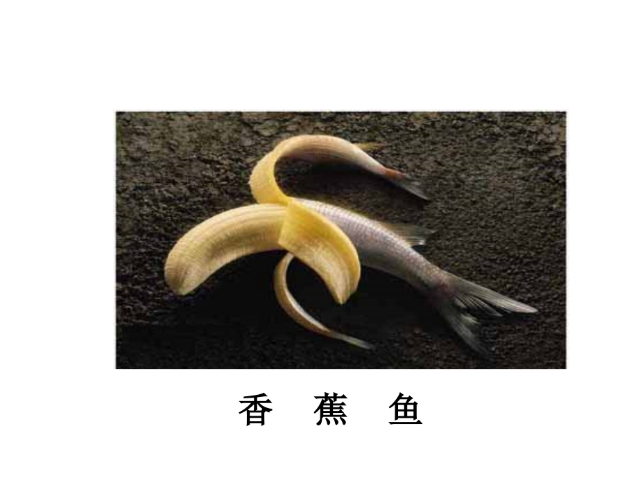 第一节工具酶的发现和基因工程的诞生.ppt_第1页