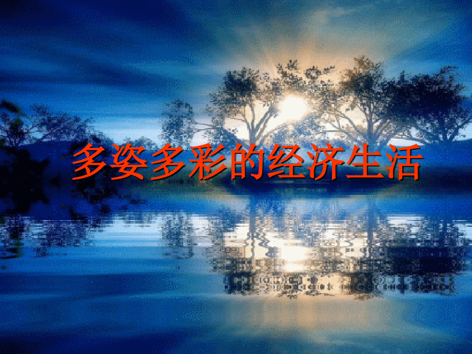 九年多姿多彩的经济生活.ppt_第1页