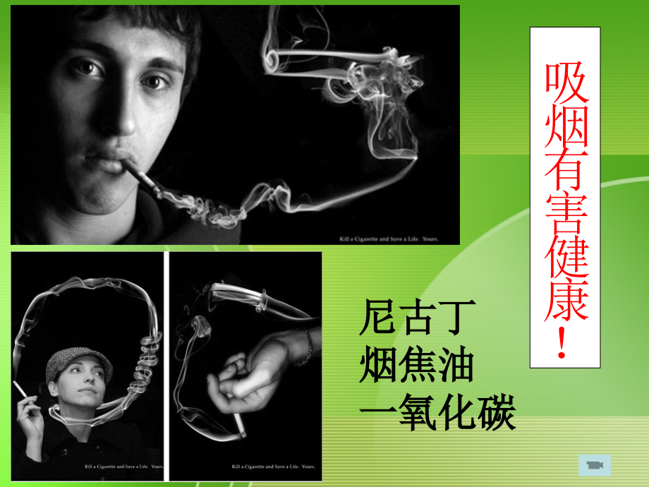 数学活动香烟浸出液对种子发芽的影响.ppt_第2页