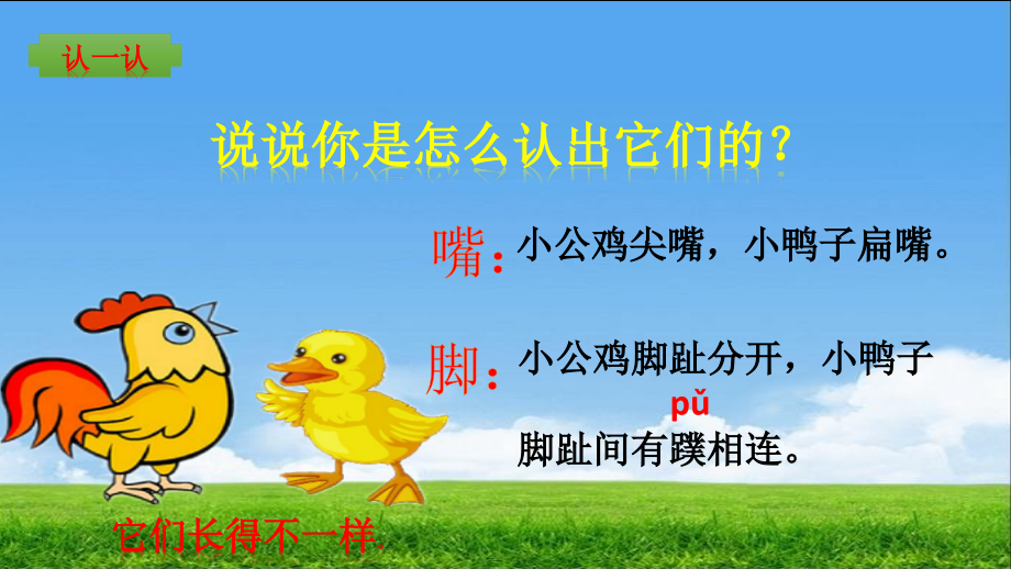 (部编)人教语文一年级下册《小公鸡和小鸭子》课件.pptx_第2页