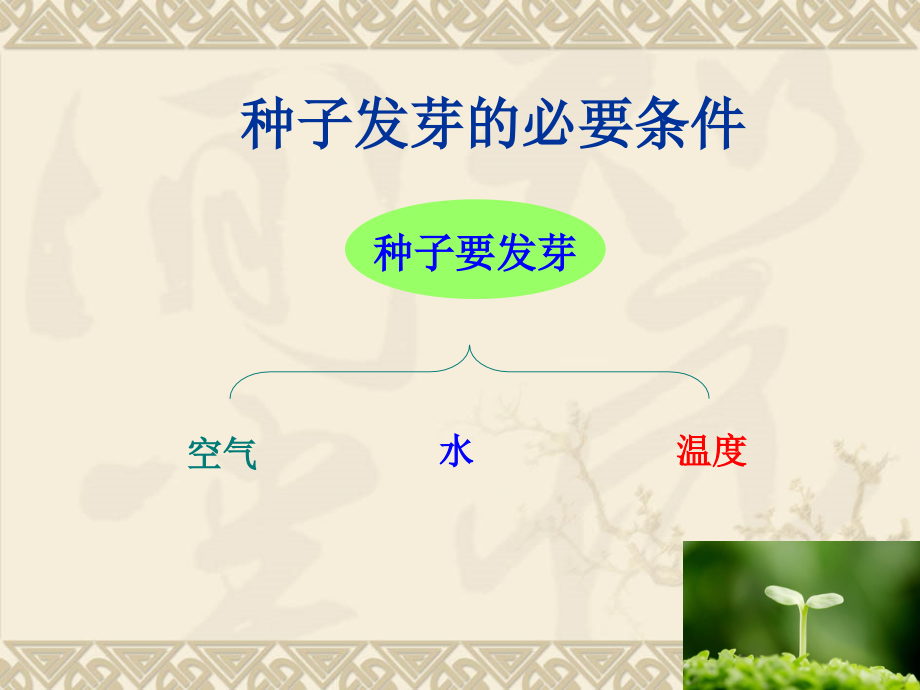 综合与实践发豆芽.ppt_第1页