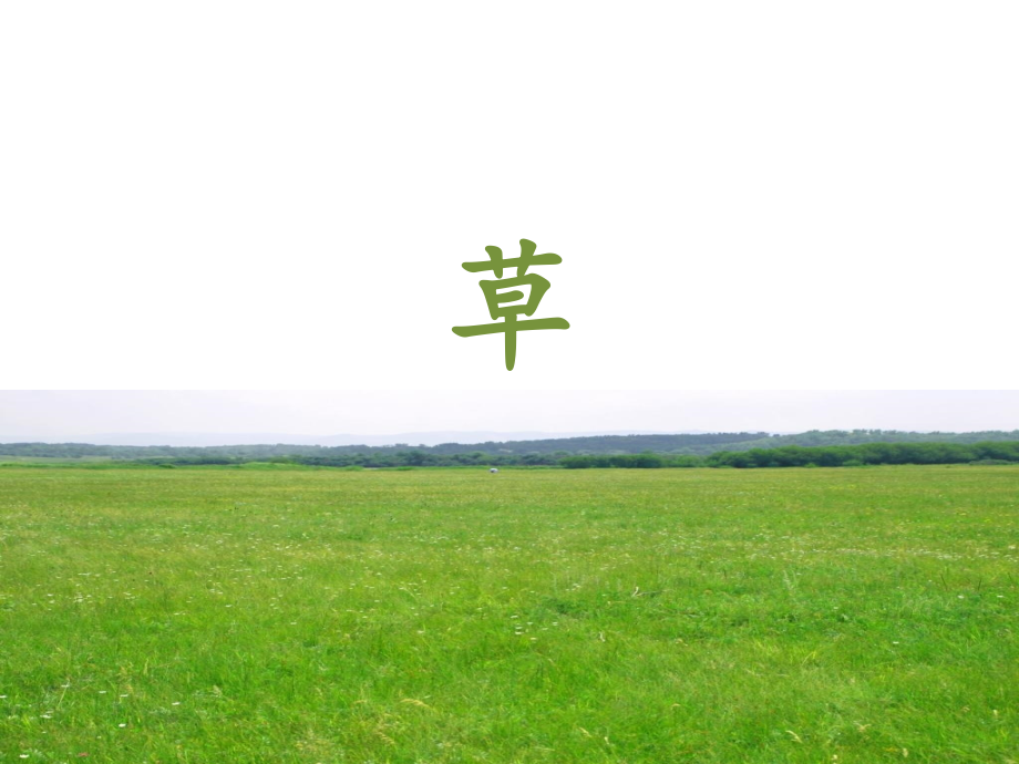 《草》课件1.ppt_第1页
