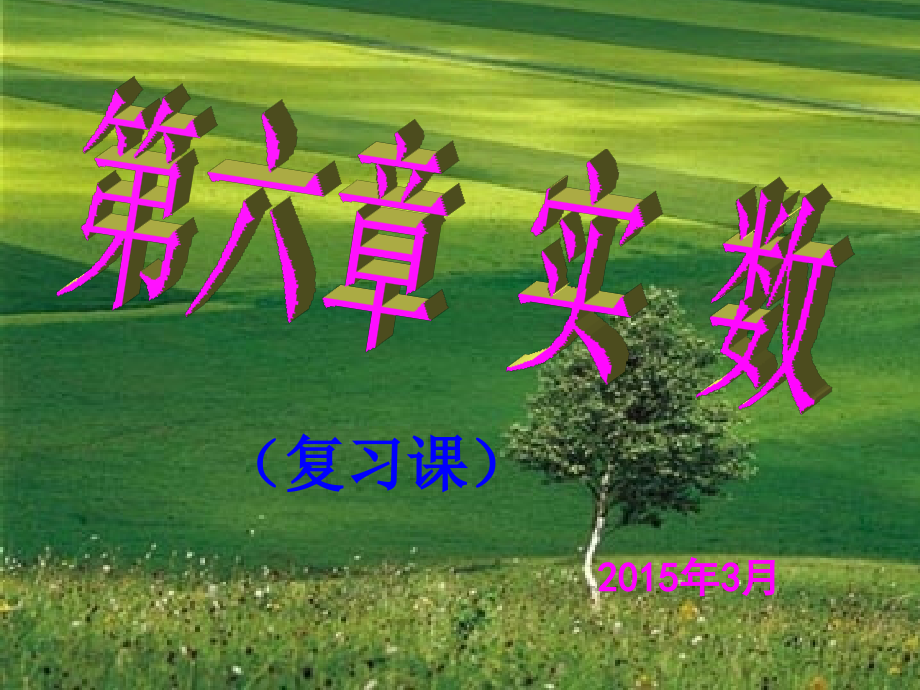 实数复习课.ppt_第1页